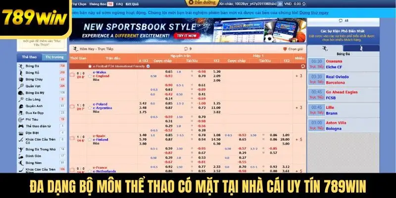 Đa dạng bộ môn thể thao có mặt tại nhà cái uy tín 789Win