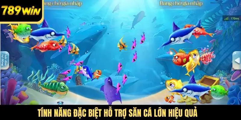 Tính năng đặc biệt hỗ trợ săn cá lớn hiệu quả
